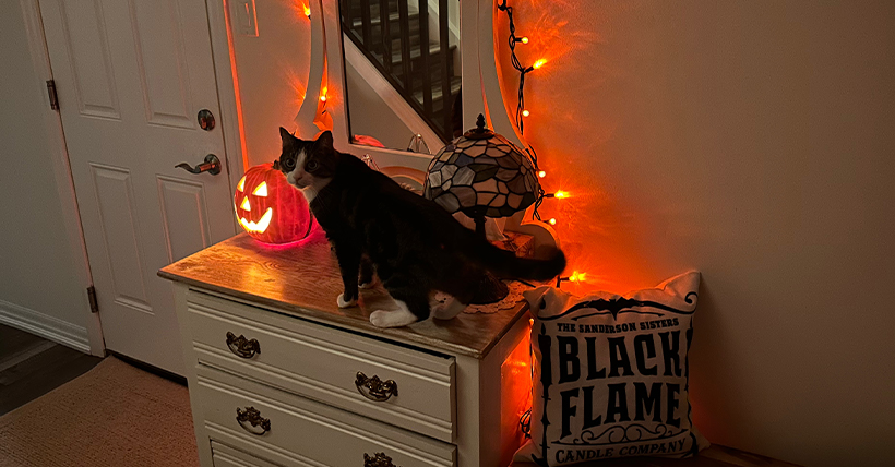 indoor halloween decorations